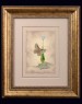 Butterfly Miniature Painting